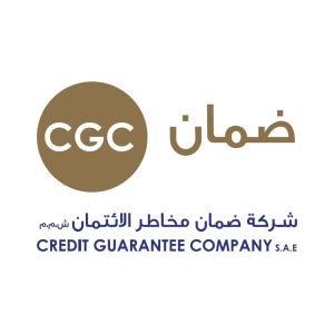 credit guarantee company egypt
